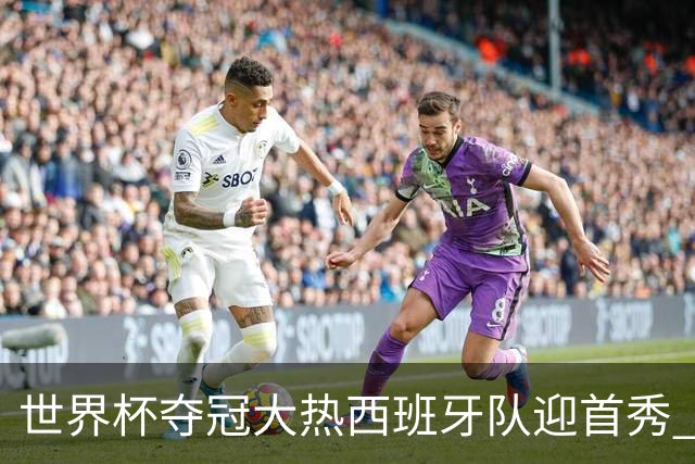 世界杯夺冠大热西班牙队迎首秀 伊朗队入境美国参赛